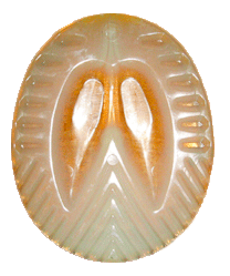 FER COMBI-PAD 1  TCD 28