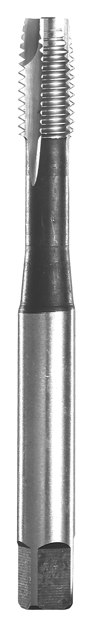 TARAUD MACHINE GUN-HSS 10X150 (REF.193)
