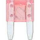 FUSIBLE A LAMELLES MINIVAL 4A ROSE SACHET 50 FUSIBLES