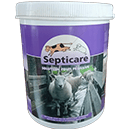 SEPTICARE PEDILUVE 1 KG 300 ML