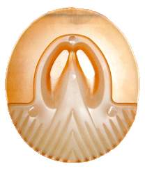 FER COMBI-PAD TCS  TAILLE 1 28