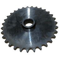 PIGNON Z=31 VGWA02085