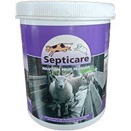 SEPTICARE PEDILUVE 1 KG 300 ML