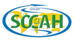 logo Socah
